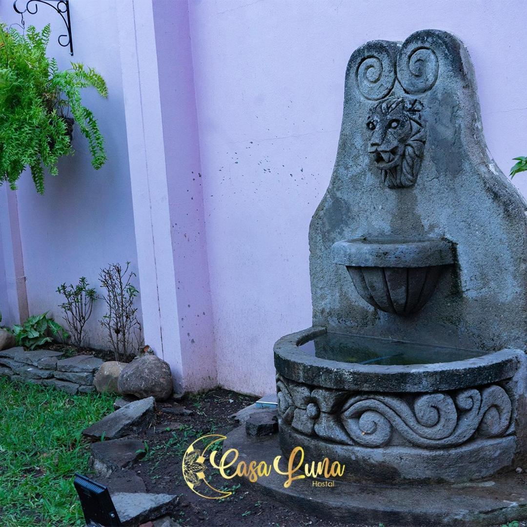 Hostal Casa Luna Санта-Ана Экстерьер фото